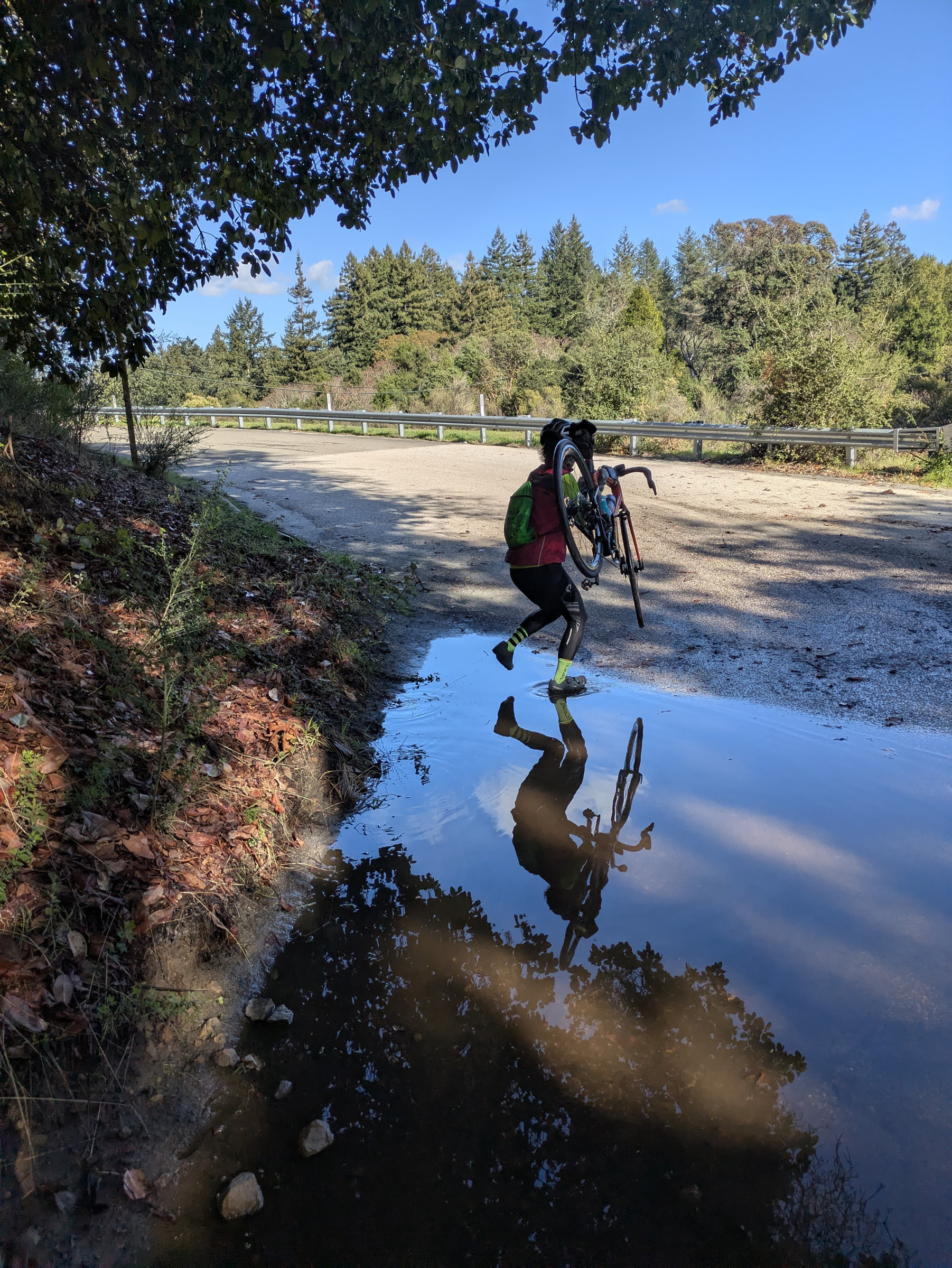 2025-cc Reflections.jpg